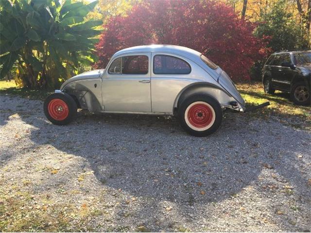 1963 Volkswagen Beetle (CC-2112251) for sale in Cadillac, Michigan