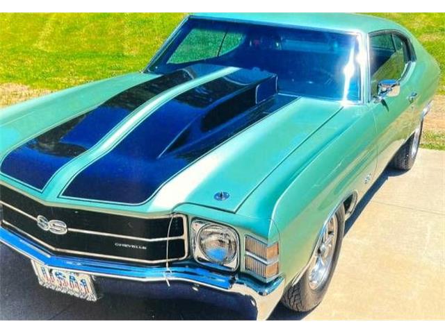 1971 Chevrolet Chevelle (CC-2112261) for sale in Cadillac, Michigan