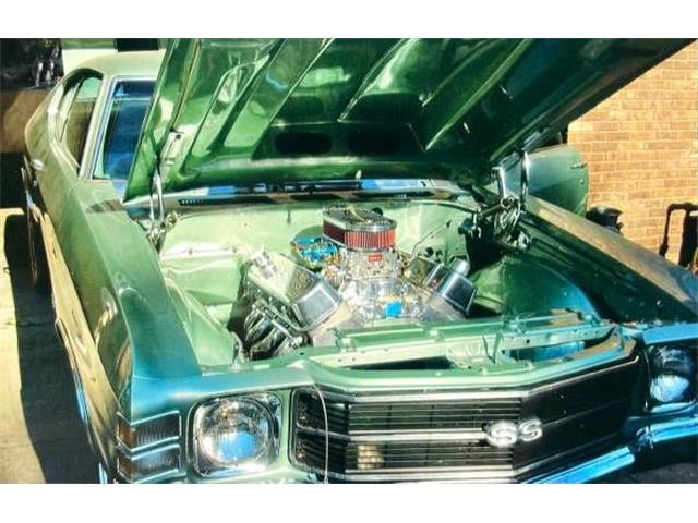 1971 Chevrolet Chevelle (CC-2112261) for sale in Cadillac, Michigan