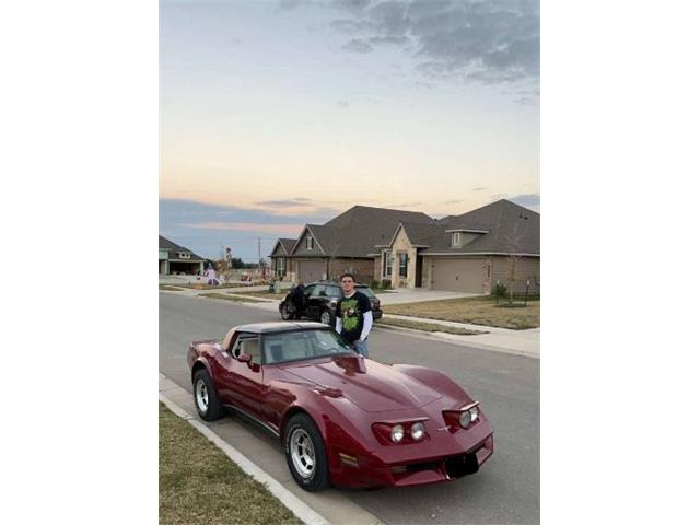 1980 Chevrolet Corvette (CC-2112270) for sale in Cadillac, Michigan