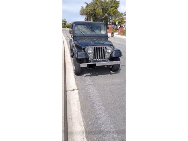 1986 Jeep CJ7 (CC-2112271) for sale in Cadillac, Michigan