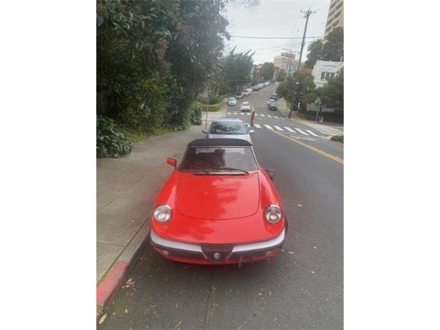 1984 Alfa Romeo Spider (CC-2112325) for sale in Cadillac, Michigan