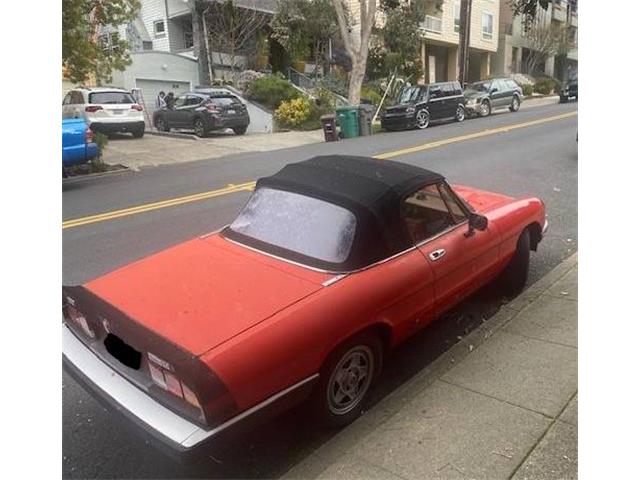 1984 Alfa Romeo Spider (CC-2112325) for sale in Cadillac, Michigan