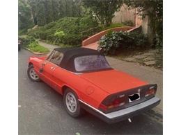 1984 Alfa Romeo Spider (CC-2112325) for sale in Cadillac, Michigan