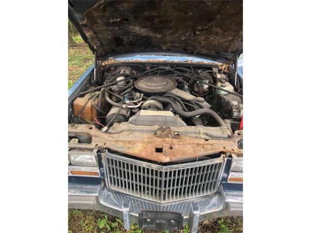 1981 Cadillac Seville (CC-2112342) for sale in Cadillac, Michigan