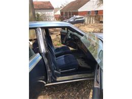 1981 Cadillac Seville (CC-2112342) for sale in Cadillac, Michigan