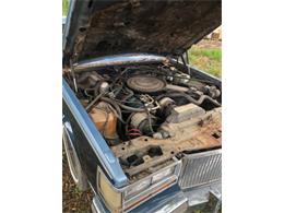 1981 Cadillac Seville (CC-2112342) for sale in Cadillac, Michigan