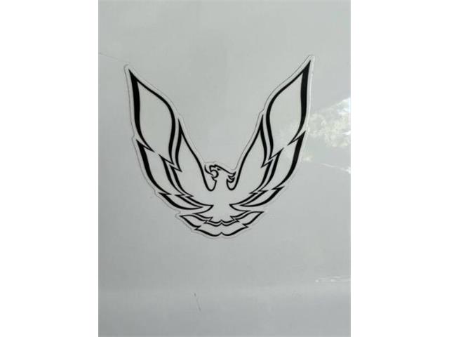 1984 Pontiac Firebird (CC-2112357) for sale in Cadillac, Michigan
