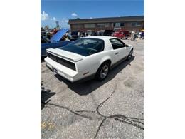 1984 Pontiac Firebird (CC-2112357) for sale in Cadillac, Michigan