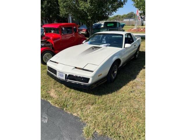 1984 Pontiac Firebird (CC-2112357) for sale in Cadillac, Michigan
