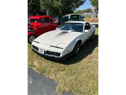 1984 Pontiac Firebird (CC-2112357) for sale in Cadillac, Michigan