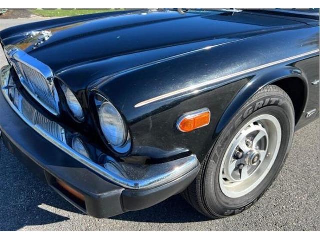 1987 Jaguar XJ (CC-2112360) for sale in Cadillac, Michigan