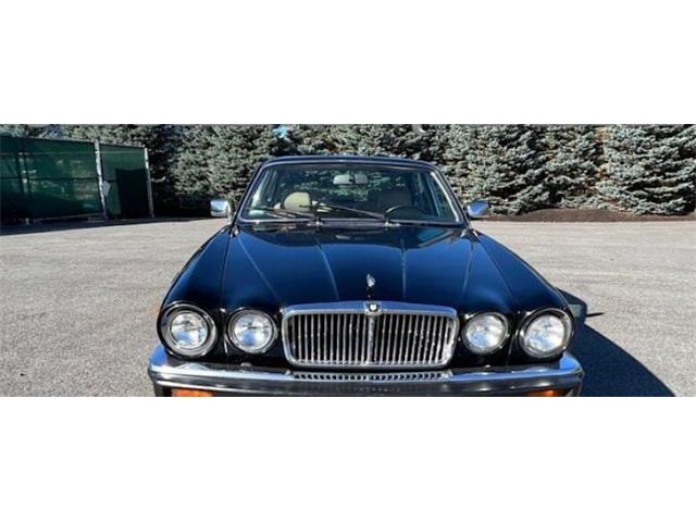 1987 Jaguar XJ (CC-2112360) for sale in Cadillac, Michigan