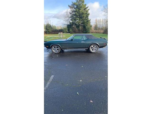 1972 Ford Mustang (CC-2112376) for sale in Cadillac, Michigan