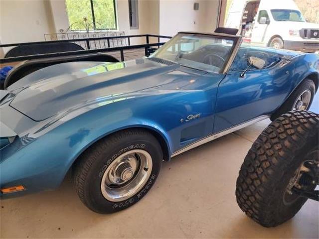 1974 Chevrolet Corvette (CC-2112380) for sale in Cadillac, Michigan