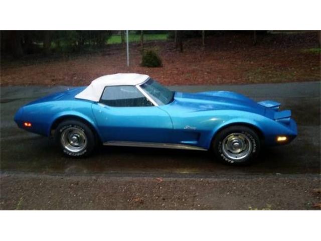 1974 Chevrolet Corvette (CC-2112380) for sale in Cadillac, Michigan
