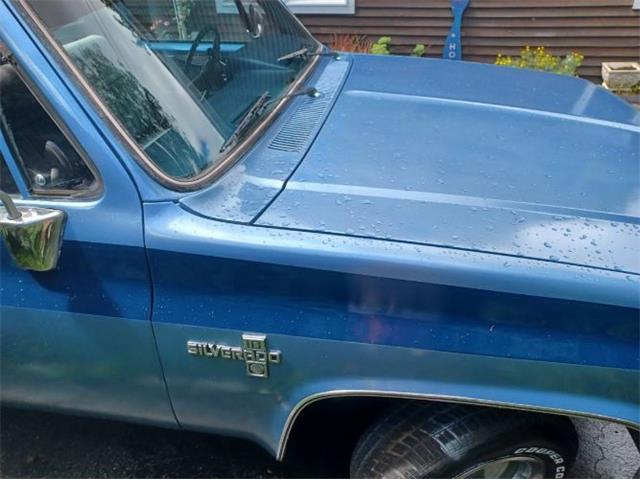1985 Chevrolet C10 (CC-2112400) for sale in Cadillac, Michigan