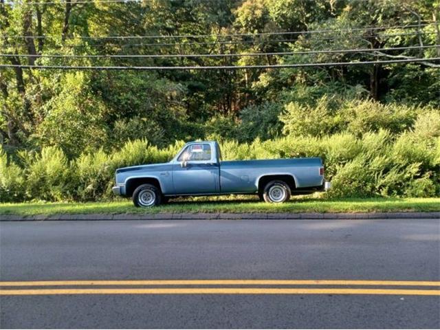 1985 Chevrolet C10 (CC-2112400) for sale in Cadillac, Michigan