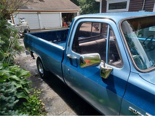 1985 Chevrolet C10 (CC-2112400) for sale in Cadillac, Michigan