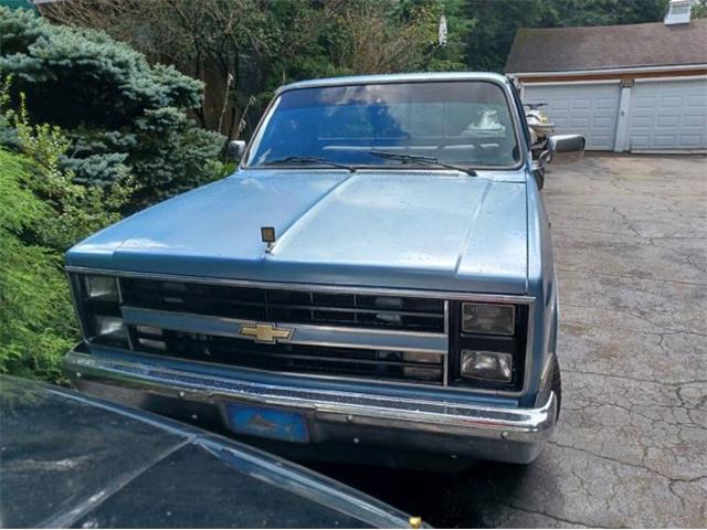 1985 Chevrolet C10 (CC-2112400) for sale in Cadillac, Michigan