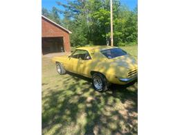 1969 Pontiac Firebird (CC-2112409) for sale in Cadillac, Michigan