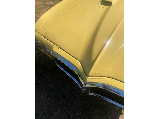 1969 Pontiac Firebird (CC-2112409) for sale in Cadillac, Michigan