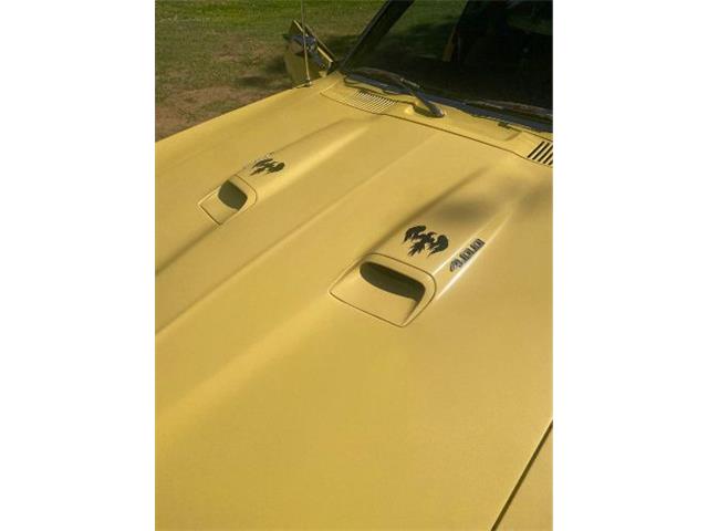 1969 Pontiac Firebird (CC-2112409) for sale in Cadillac, Michigan