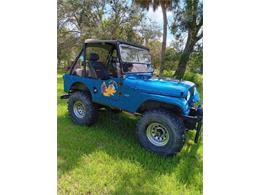 1962 Jeep Willys (CC-2112415) for sale in Cadillac, Michigan