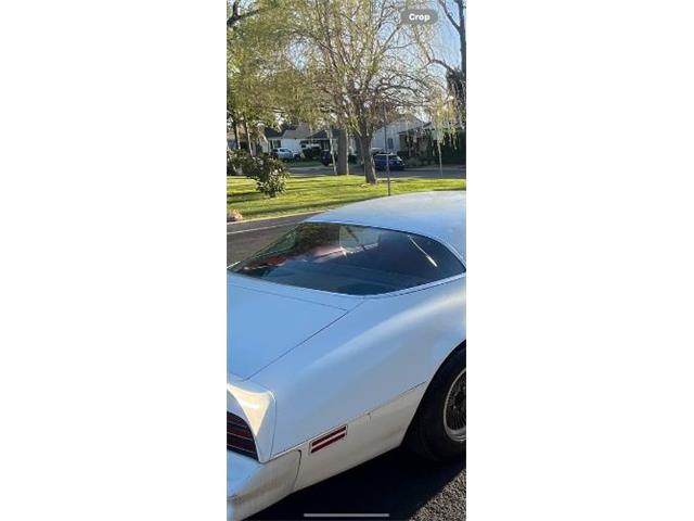 1977 Pontiac Firebird Trans Am (CC-2112431) for sale in Cadillac, Michigan