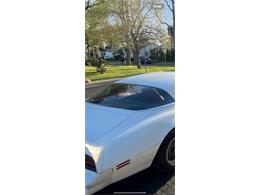 1977 Pontiac Firebird Trans Am (CC-2112431) for sale in Cadillac, Michigan