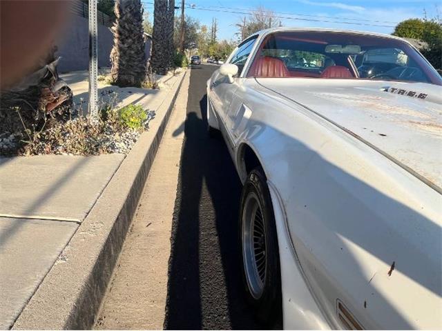 1977 Pontiac Firebird Trans Am (CC-2112431) for sale in Cadillac, Michigan