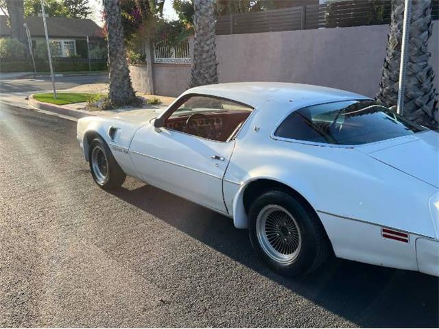 1977 Pontiac Firebird Trans Am (CC-2112431) for sale in Cadillac, Michigan