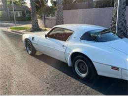 1977 Pontiac Firebird Trans Am (CC-2112431) for sale in Cadillac, Michigan