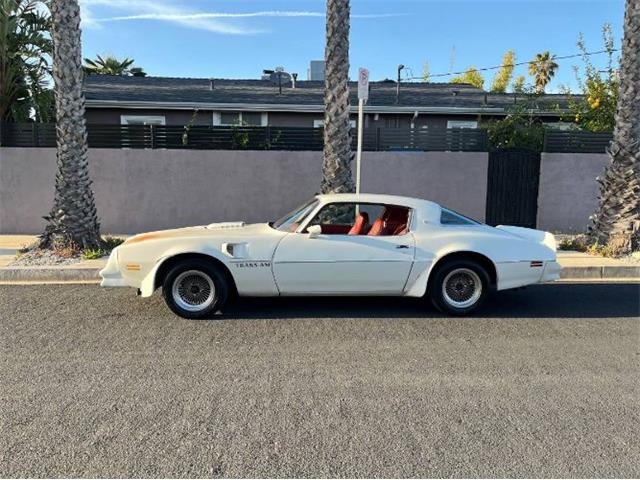 1977 Pontiac Firebird Trans Am (CC-2112431) for sale in Cadillac, Michigan