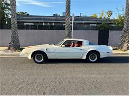 1977 Pontiac Firebird Trans Am (CC-2112431) for sale in Cadillac, Michigan