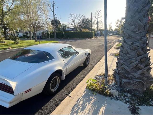 1977 Pontiac Firebird Trans Am (CC-2112431) for sale in Cadillac, Michigan
