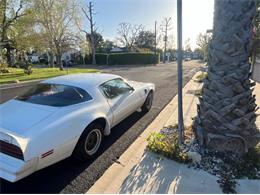 1977 Pontiac Firebird Trans Am (CC-2112431) for sale in Cadillac, Michigan