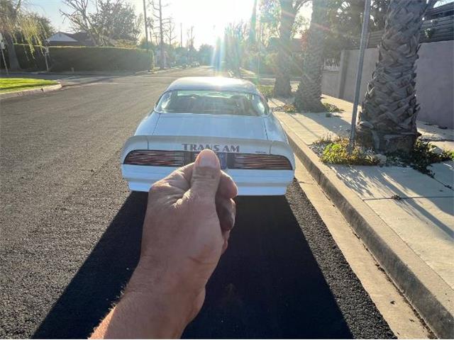 1977 Pontiac Firebird Trans Am (CC-2112431) for sale in Cadillac, Michigan
