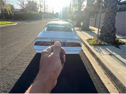 1977 Pontiac Firebird Trans Am (CC-2112431) for sale in Cadillac, Michigan