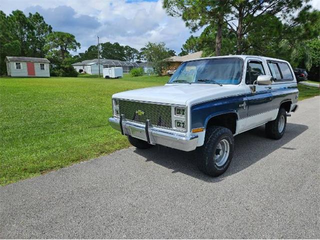 1988 Chevrolet Blazer (CC-2112433) for sale in Cadillac, Michigan