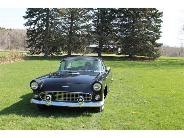 1956 Ford Thunderbird (CC-2110244) for sale in Clarklake, Michigan