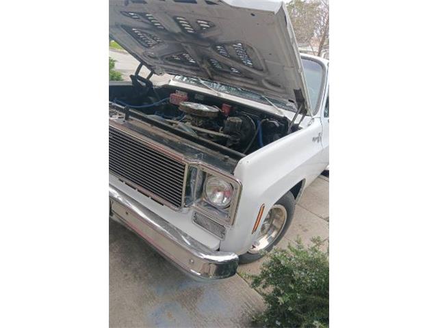 1976 Chevrolet Pickup (CC-2112440) for sale in Cadillac, Michigan