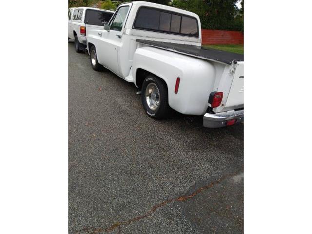 1976 Chevrolet Pickup (CC-2112440) for sale in Cadillac, Michigan