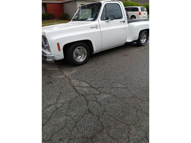 1976 Chevrolet Pickup (CC-2112440) for sale in Cadillac, Michigan