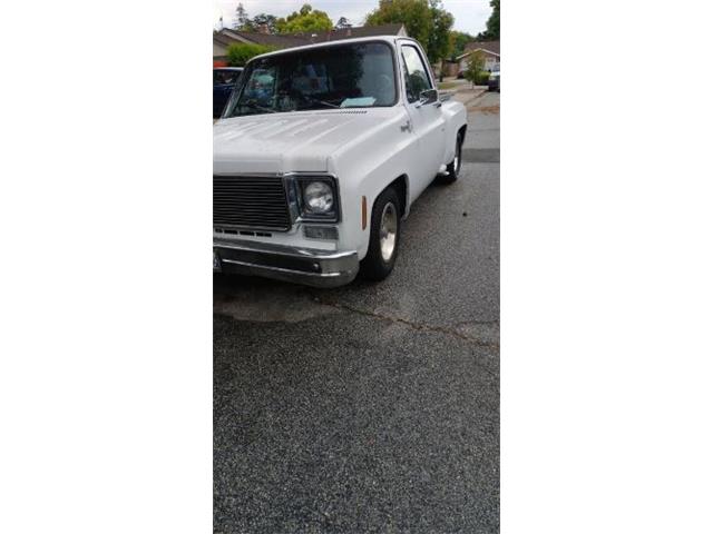 1976 Chevrolet Pickup (CC-2112440) for sale in Cadillac, Michigan