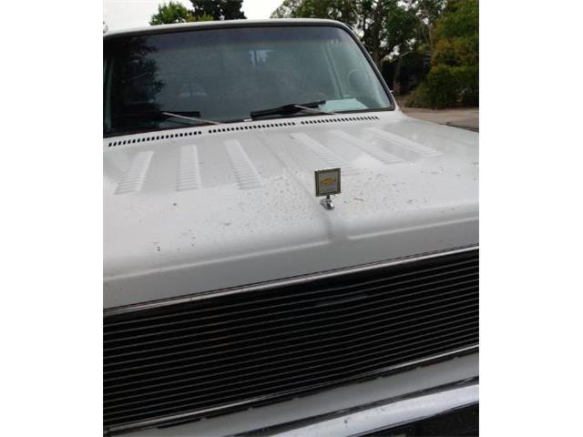 1976 Chevrolet Pickup (CC-2112440) for sale in Cadillac, Michigan
