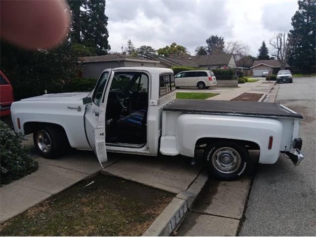 1976 Chevrolet Pickup (CC-2112440) for sale in Cadillac, Michigan