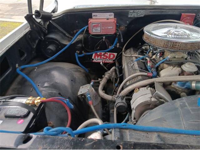1976 Chevrolet Pickup (CC-2112440) for sale in Cadillac, Michigan