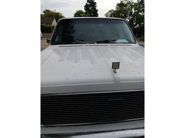 1976 Chevrolet Pickup (CC-2112440) for sale in Cadillac, Michigan