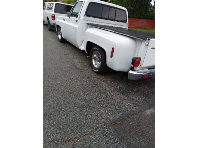 1976 Chevrolet Pickup (CC-2112440) for sale in Cadillac, Michigan